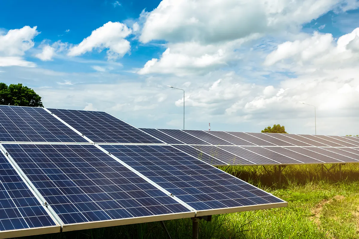 Naturtex - Energy Independence